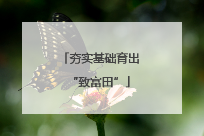 夯实基础育出“致富田”