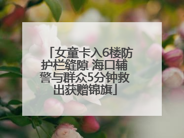 女童卡入6楼防护栏缝隙 海口辅警与群众5分钟救出获赠锦旗