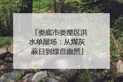 娄底市娄星区洪水单屋场：从煤灰蔽日到绿意盎然