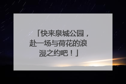 快来泉城公园，赴一场与荷花的浪漫之约吧！