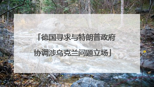 德国寻求与特朗普政府协调涉乌克兰问题立场
