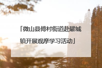微山县傅村街道赴驩城镇开展观摩学习活动