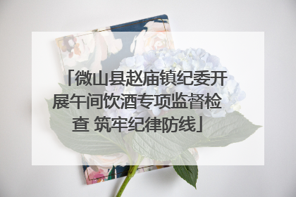 微山县赵庙镇纪委开展午间饮酒专项监督检查 筑牢纪律防线