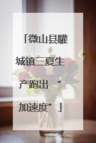 微山县驩城镇三夏生产跑出 “加速度”