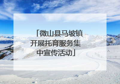 微山县马坡镇开展托育服务集中宣传活动