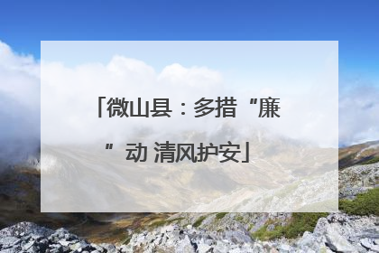 微山县：多措“廉”动 清风护安