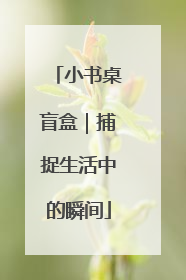 小书桌盲盒｜捕捉生活中的瞬间