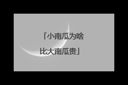 小南瓜为啥比大南瓜贵