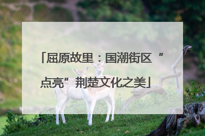 屈原故里：国潮街区“点亮”荆楚文化之美