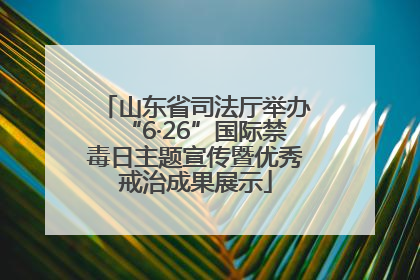 山东省司法厅举办“6·26”国际禁毒日主题宣传暨优秀戒治成果展示