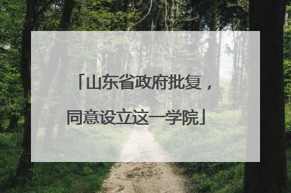 山东省政府批复，同意设立这一学院