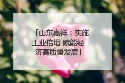 山东嘉祥：实施工业倍增 赋能经济高质量发展
