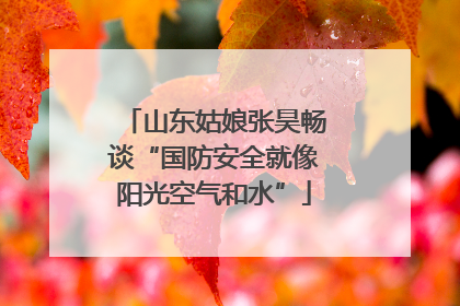 山东姑娘张昊畅谈“国防安全就像阳光空气和水”