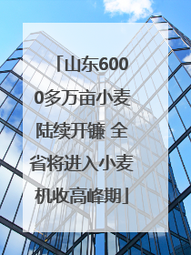 山东6000多万亩小麦陆续开镰 全省将进入小麦机收高峰期