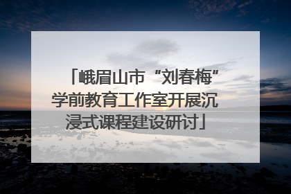 峨眉山市“刘春梅”学前教育工作室开展沉浸式课程建设研讨
