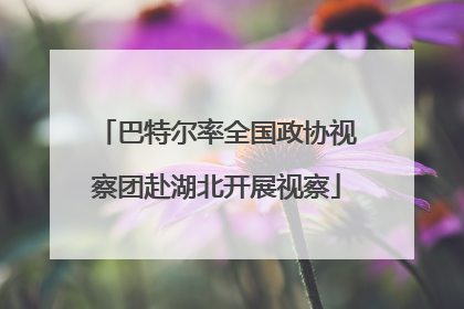 巴特尔率全国政协视察团赴湖北开展视察