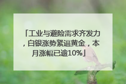 工业与避险需求齐发力，白银涨势紧逼黄金，本月涨幅已逾10%