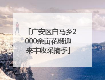 广安区白马乡2000余亩花椒迎来丰收采摘季