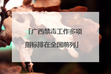 广西禁毒工作多项指标排在全国前列