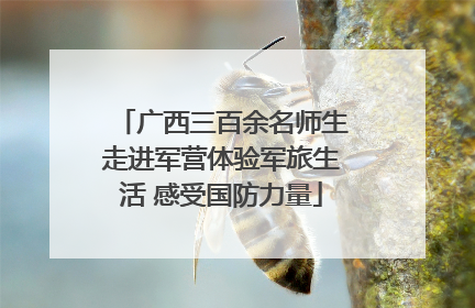 广西三百余名师生走进军营体验军旅生活 感受国防力量