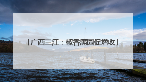 广西三江：椒香满园促增收