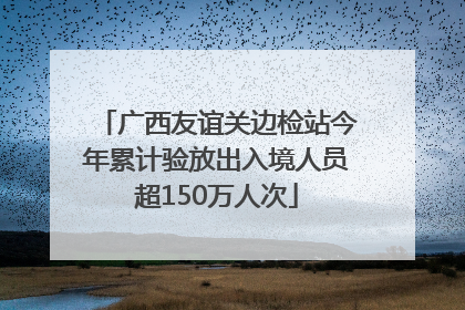 广西友谊关边检站今年累计验放出入境人员超150万人次