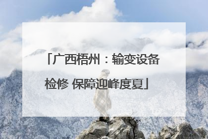 广西梧州：输变设备检修 保障迎峰度夏