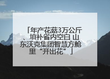 年产花菇3万公斤、填补省内空白 山东沃克集团智慧方舱里“开出花”