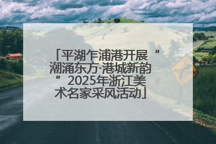 平湖乍浦港开展“潮涌东方·港城新韵”2025年浙江美术名家采风活动