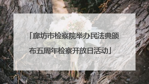 廊坊市检察院举办民法典颁布五周年检察开放日活动