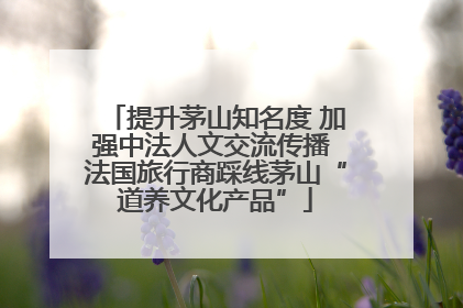 提升茅山知名度 加强中法人文交流传播 法国旅行商踩线茅山“道养文化产品”