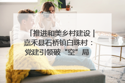 推进和美乡村建设｜嘉禾县石桥镇白珠村：党建引领破“空”局 乡贤聚力绘就新图景