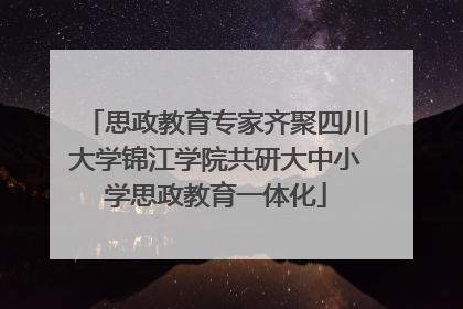 思政教育专家齐聚四川大学锦江学院共研大中小学思政教育一体化