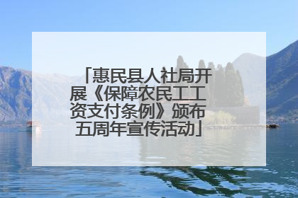 惠民县人社局开展《保障农民工工资支付条例》颁布五周年宣传活动