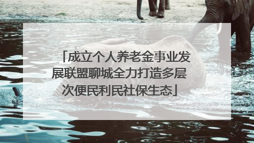 成立个人养老金事业发展联盟聊城全力打造多层次便民利民社保生态
