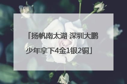 扬帆南太湖 深圳大鹏少年拿下4金1银2铜
