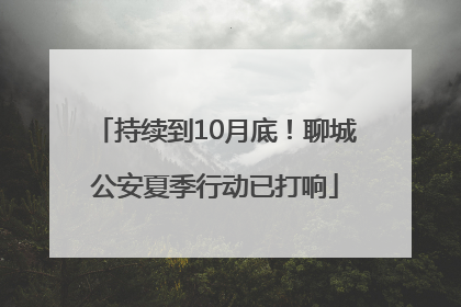 持续到10月底！聊城公安夏季行动已打响