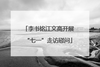 李书铭江文高开展“七一”走访慰问