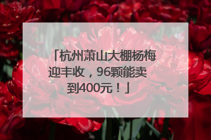 杭州萧山大棚杨梅迎丰收，96颗能卖到400元！