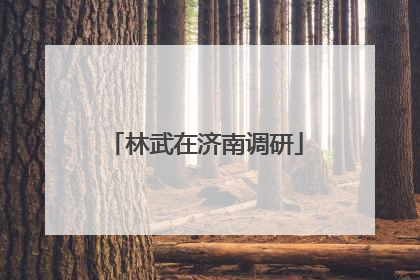林武在济南调研