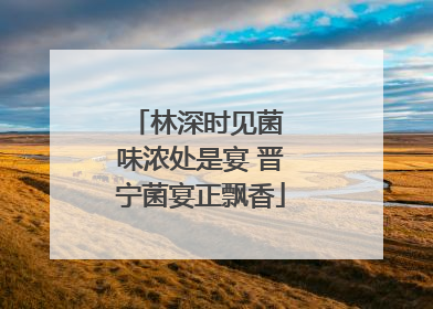 林深时见菌 味浓处是宴 晋宁菌宴正飘香