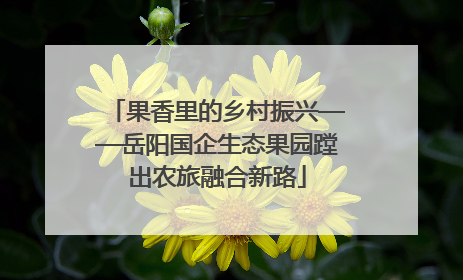 果香里的乡村振兴——岳阳国企生态果园蹚出农旅融合新路