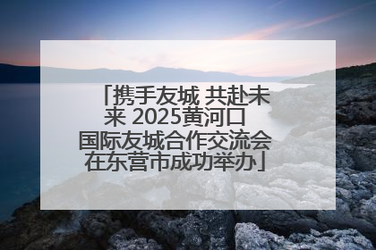携手友城 共赴未来 2025黄河口国际友城合作交流会在东营市成功举办