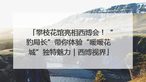 攀枝花馆亮相西博会！“豹局长”带你体验“暖暖花城”独特魅力｜西博视界