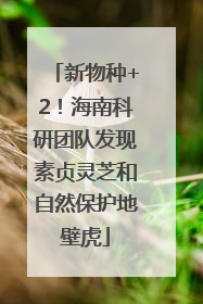新物种+2！海南科研团队发现素贞灵芝和自然保护地壁虎