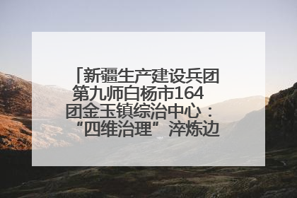 新疆生产建设兵团第九师白杨市164团金玉镇综治中心：“四维治理”淬炼边疆“枫桥样本”