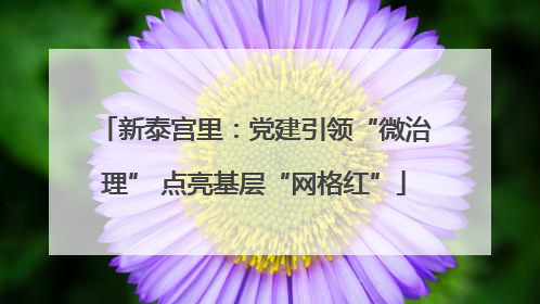 新泰宫里：党建引领“微治理” 点亮基层“网格红”