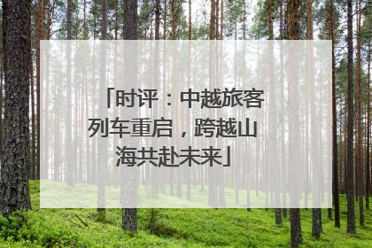 时评：中越旅客列车重启，跨越山海共赴未来
