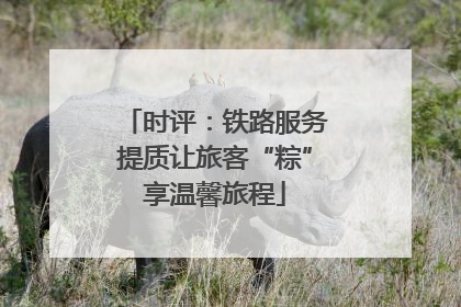 时评：铁路服务提质让旅客“粽”享温馨旅程