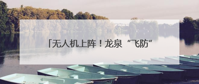 无人机上阵！龙泉“飞防”作业助力松材线虫病防治